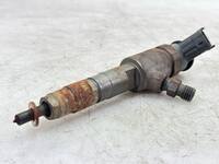 Iniettore CITROEN C3 2 SC 1.4 HDI 70 2009-2023 0445110339, 1703287, 1980EJ