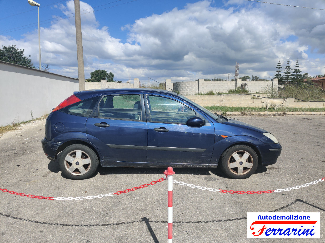 Ford Focus 78
