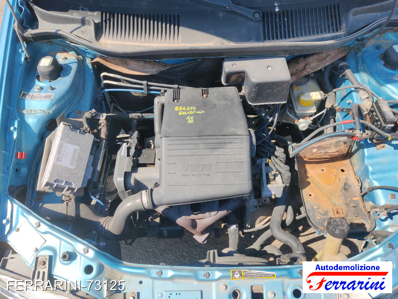 Fiat Punto 33