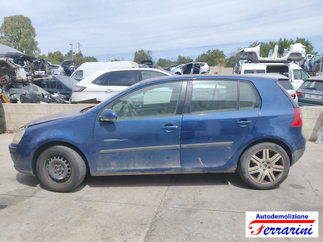 Vw Golf 5 1K1 1.9 TDI 105CV 2003-2008