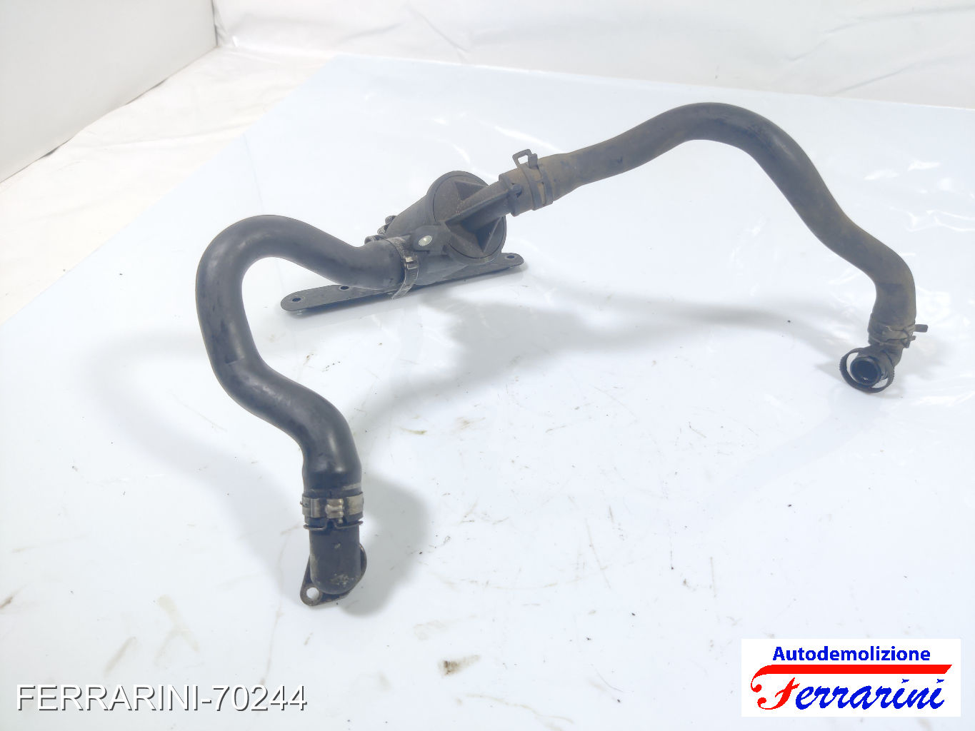 Pompa Acqua Motore Ausiliaria LANCIA YPSILON 843 1.3 JTD 2003-2011 55185372 13