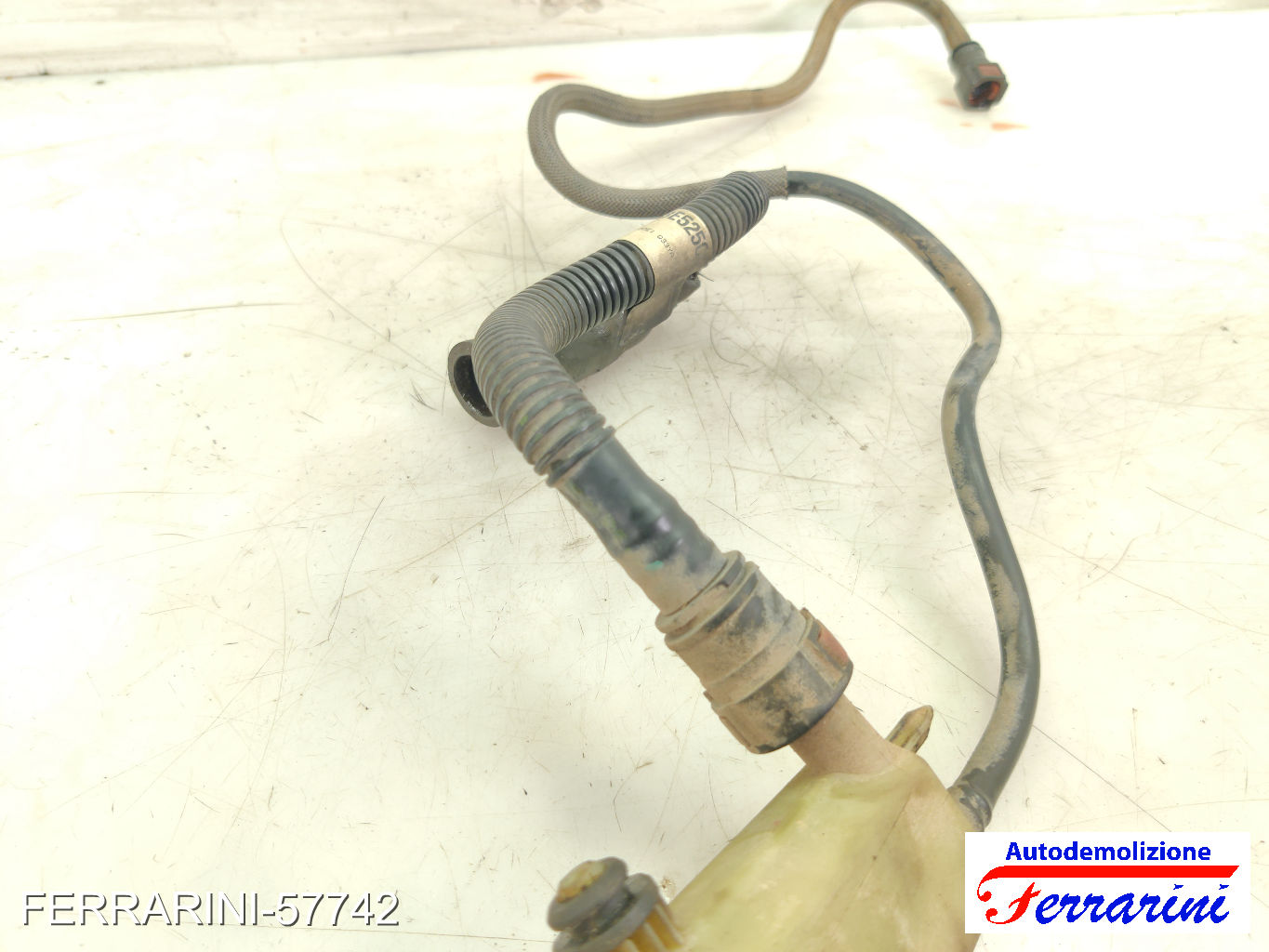 serbatoio olio servosterzo FORD FIESTA 5 JD, JH 1.4 TDCI 2001-2008 1251765 9