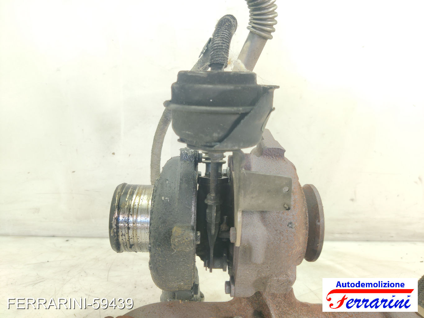 Turbina