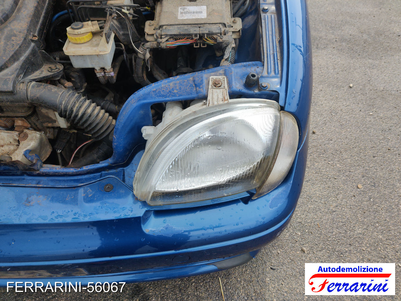 Fiat Seicento 600 187 1.1 54CV 1998-2010