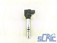 Bobina Di Accensione SEAT IBIZA 3 6L1 1.4 16V 2002-2007 036905715F, 036905715G