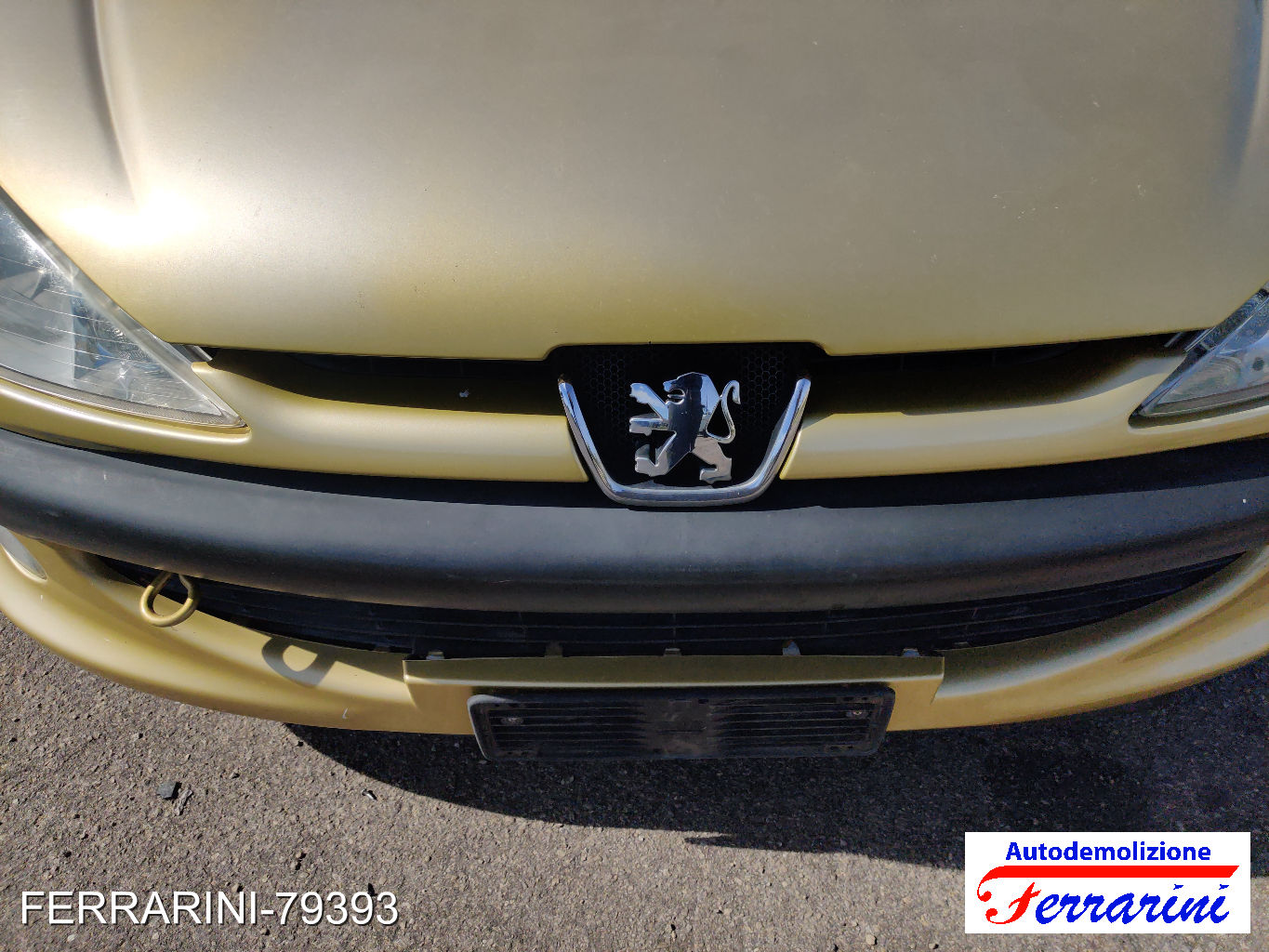 Peugeot 206 Sw 83