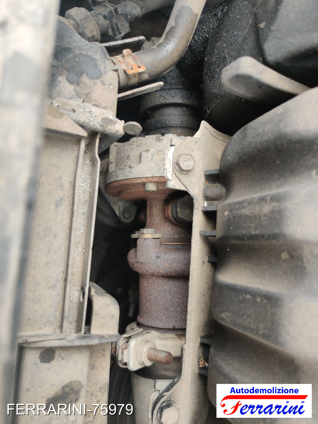 Turbina