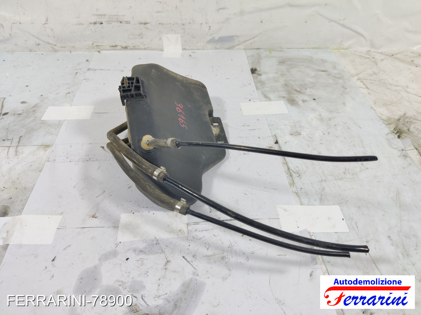 Vaschetta Servosterzo Idroguida BMW SERIE 3 E36 1993-1998 16131182156