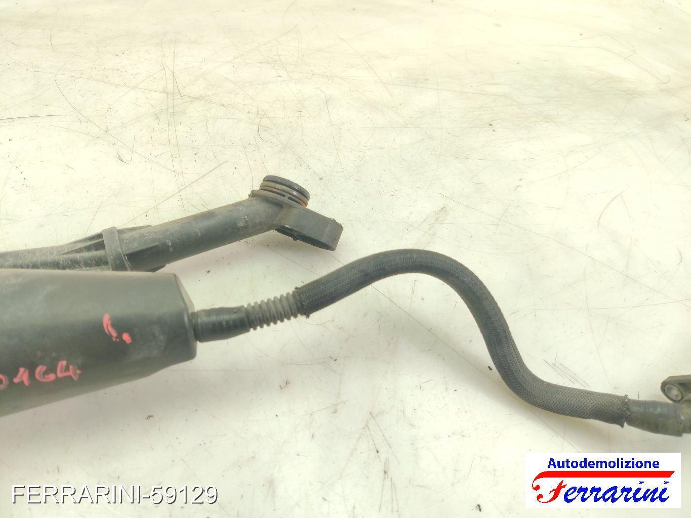 Altre Componenti Accessori Motore