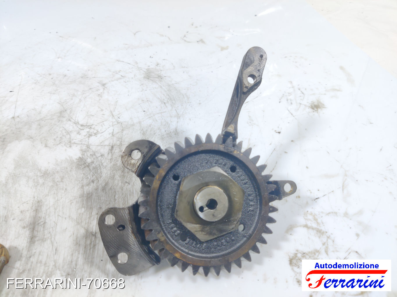 Ingranaggio albero a camme VW MULTI 5 7EF, 7EM, 7EN, 7HF, 7HM, 7HN