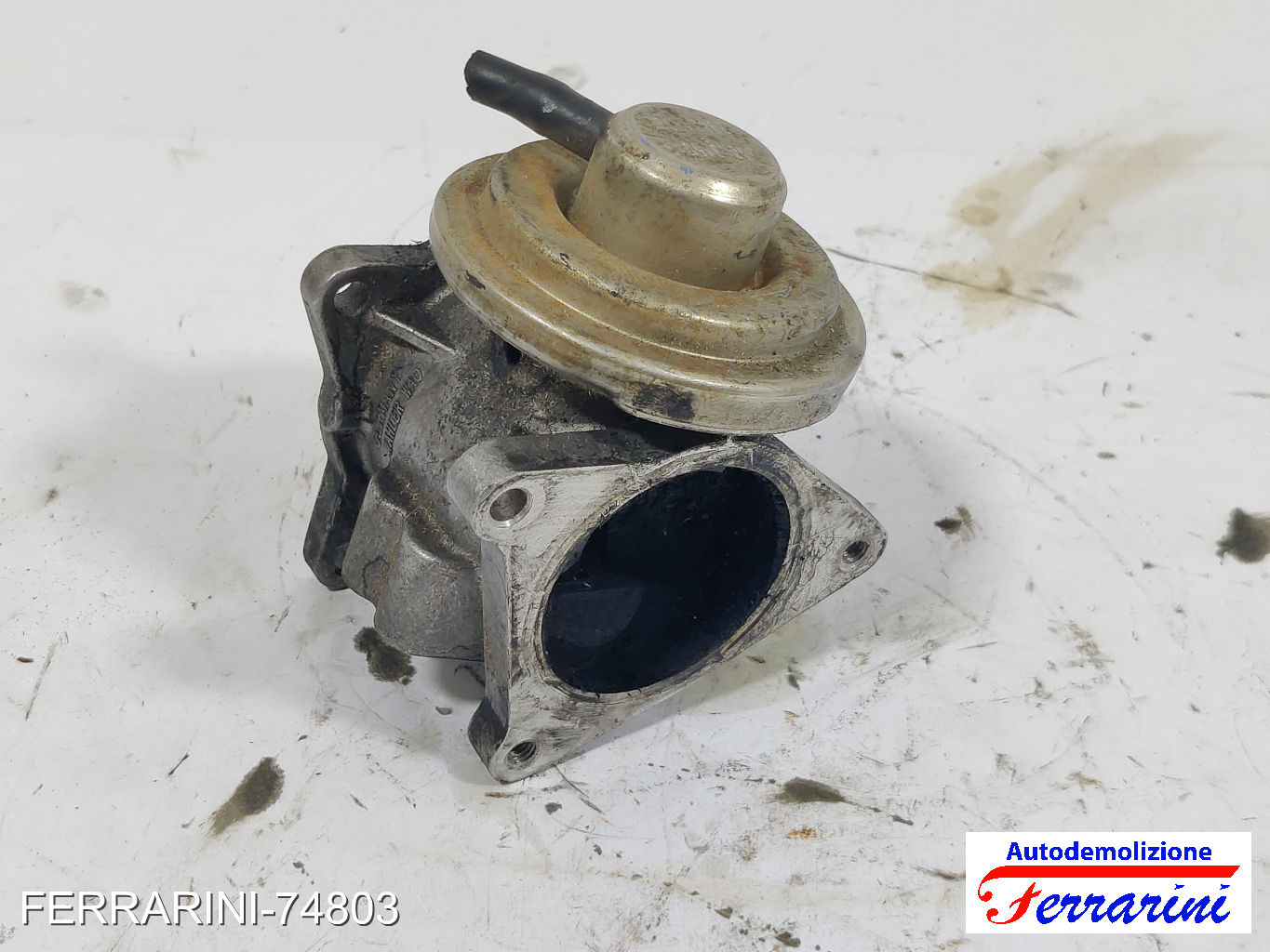Valvola Egr VW GOLF 5 1K1 1.9 TDI 2003-2008 038131501AN, 298212032