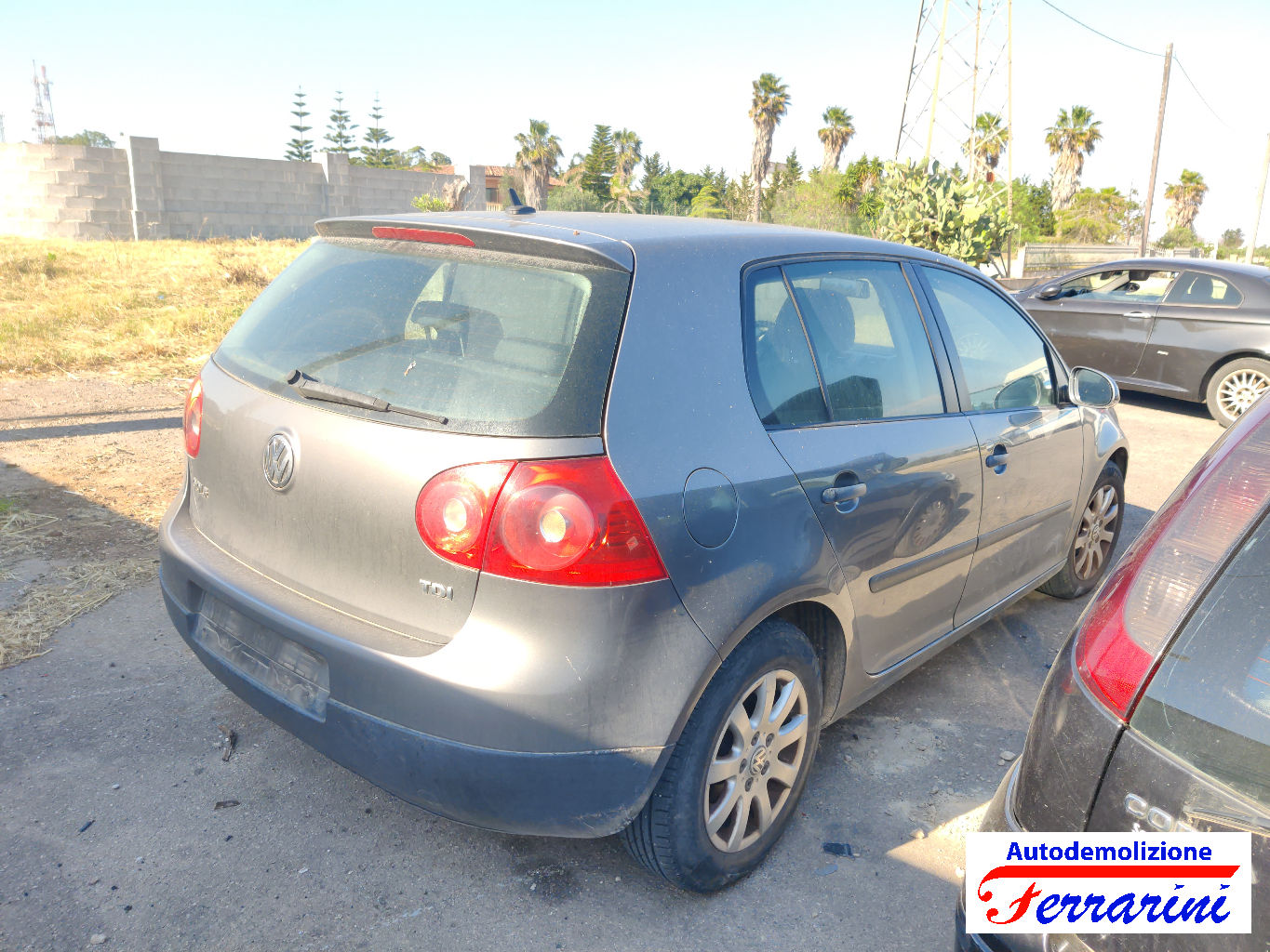 Vw Golf 5 1K1 1.9 TDI 105CV 2003-2008