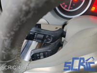 Bilanciere leva cruise controll