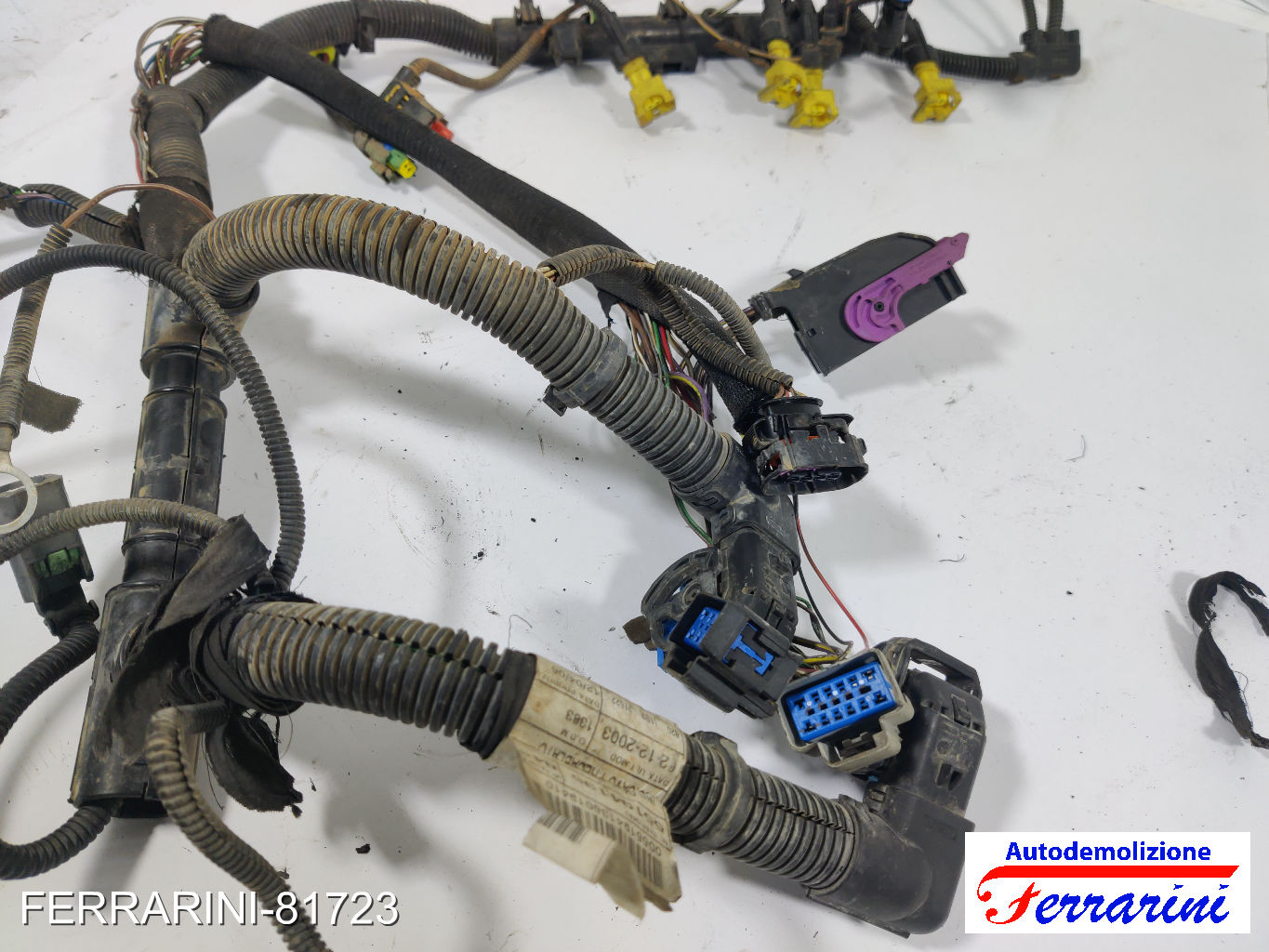 Cablaggio Motore LANCIA YPSILON 843 1.2 2003-2011 8