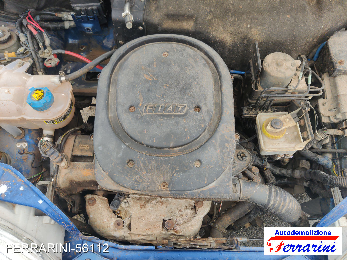Fiat Seicento 600 187 1.1 54CV 1998-2010
