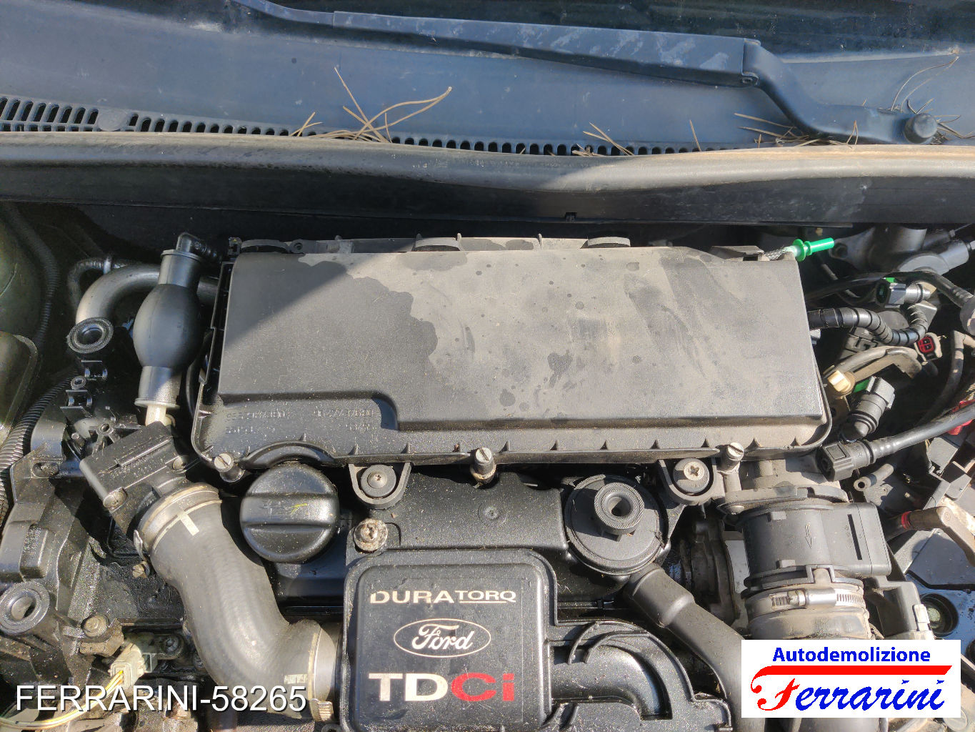 Ford Fiesta 5 JD, JH 1.4 TDCI 68CV 2001-2008