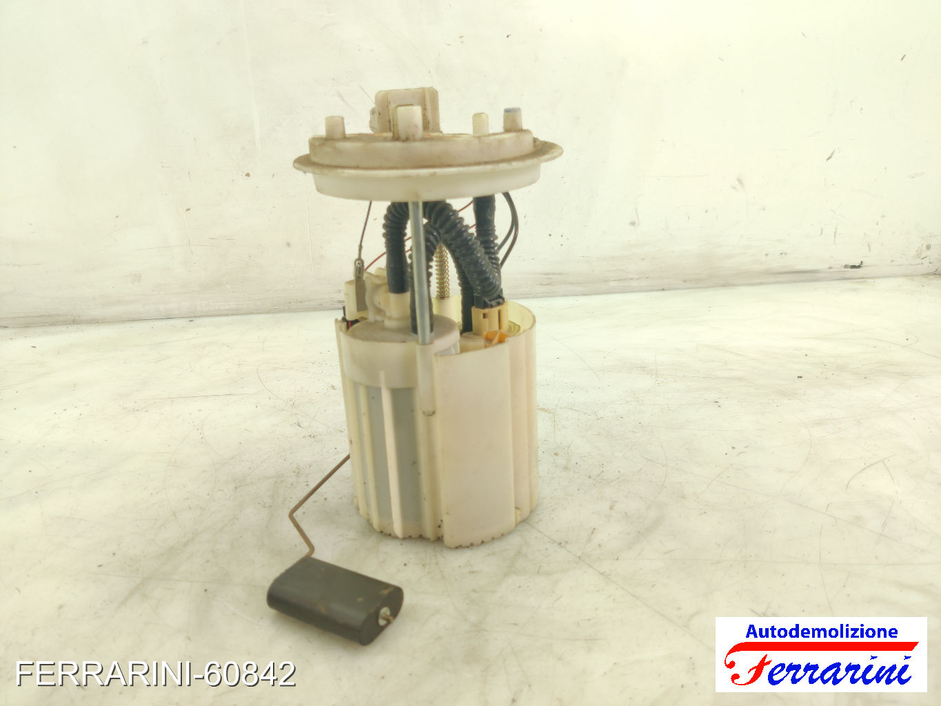 Cestello Pompa Galleggiante Serbatoio FIAT PUNTO EVO 199 1.4 2009-2012 55700362
