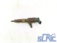 Iniettore PEUGEOT 208 1 CA, CC 1.4 HDI 2012-2019 0445110339, 1980EJ, 1980EJ