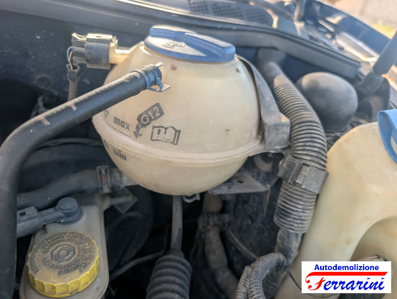 Vw Polo 6N2 1.4 16V 75CV 1999-2001