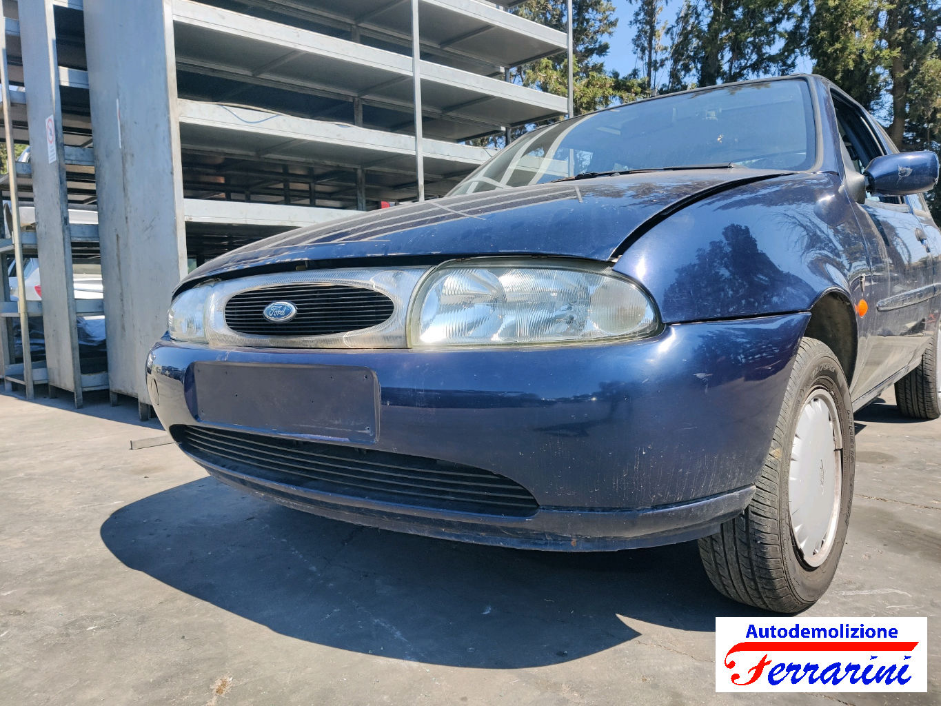 Ford Fiesta 4 54