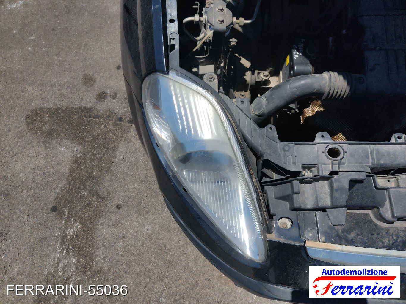 Faro Anteriore Destra