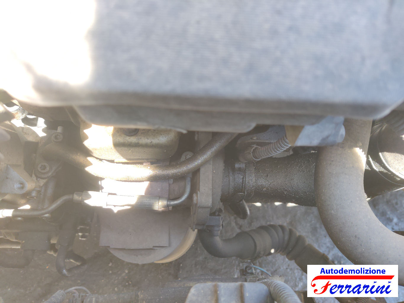 Fiat Punto 188 1.3 JTD 16V 70CV 2003-2012