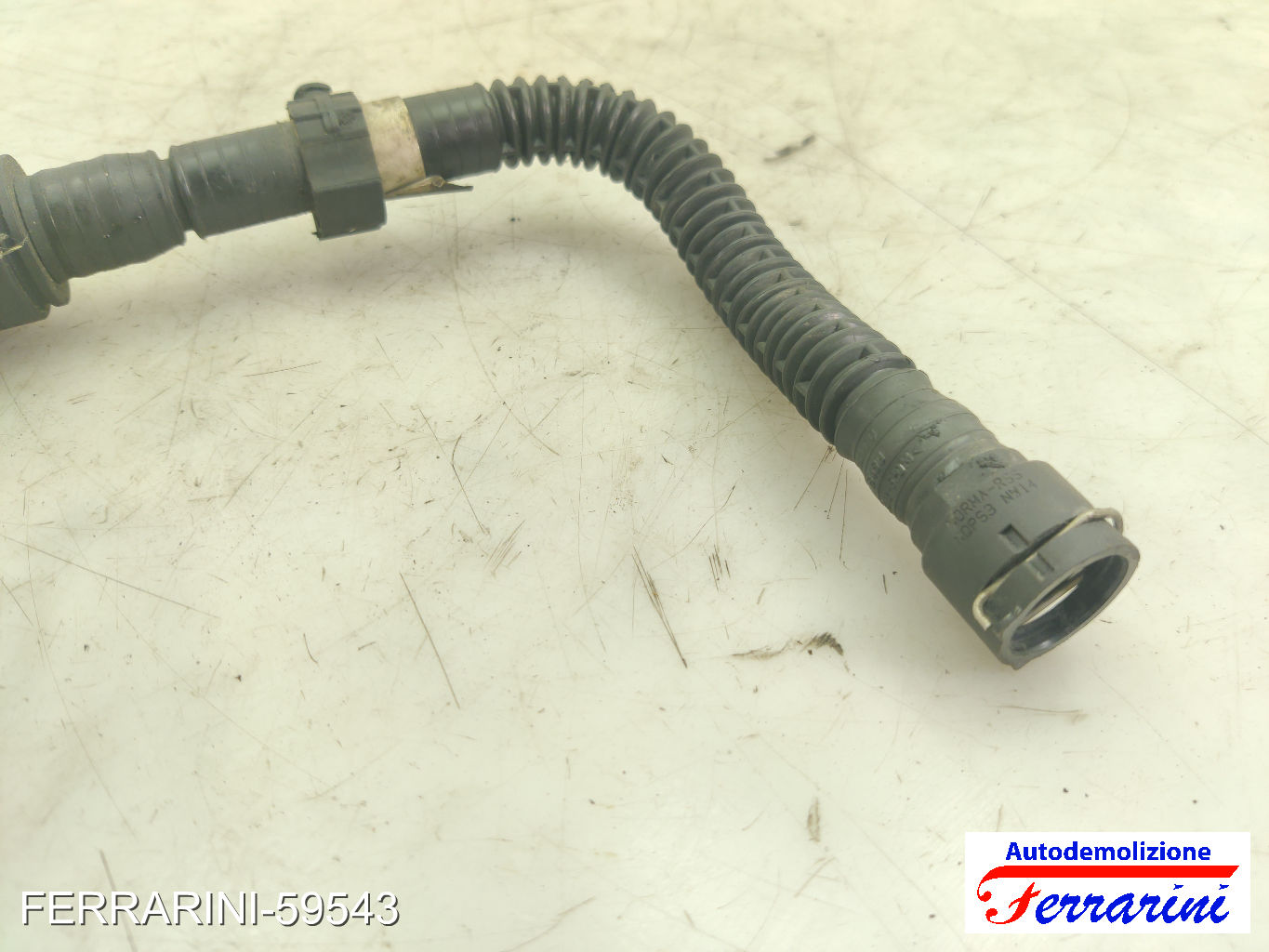 Altre Componenti Accessori Motore