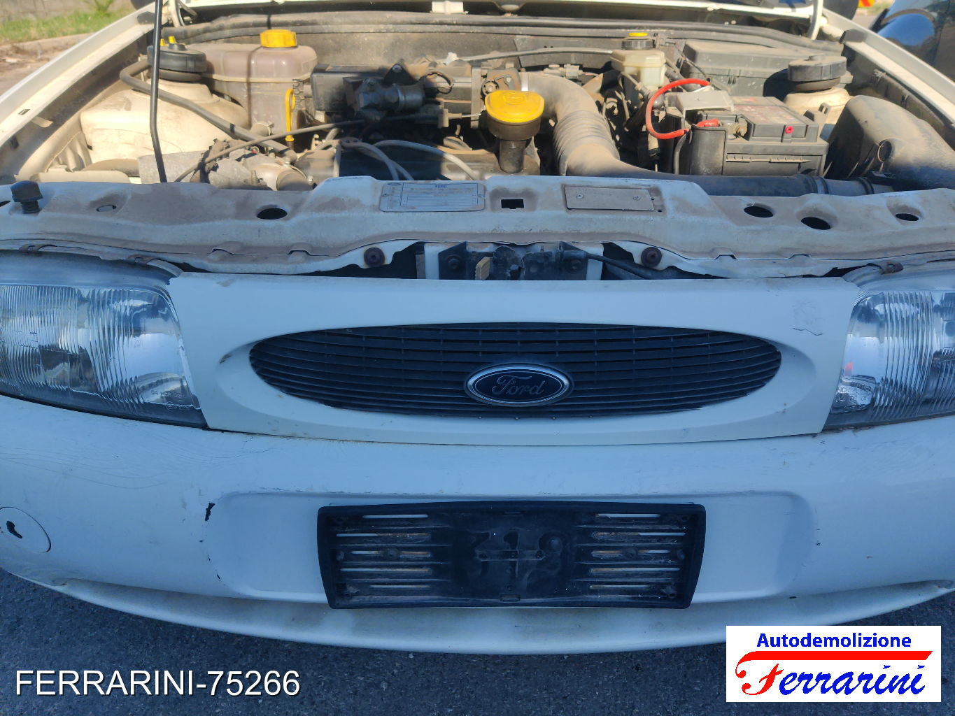 Ford Fiesta 4 56