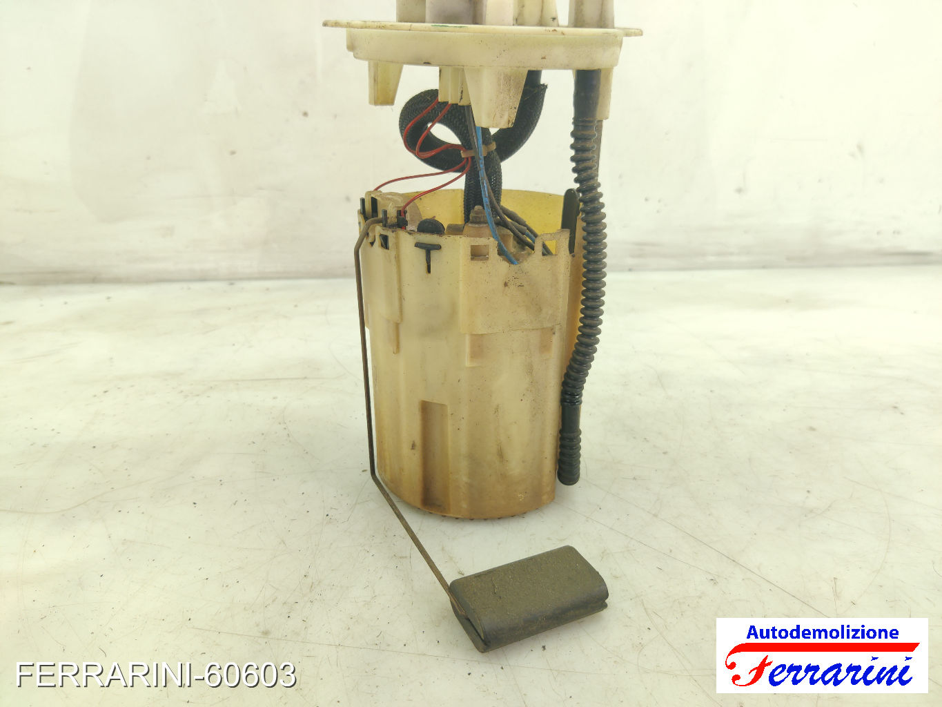 Cestello Pompa Galleggiante Serbatoio FIAT PUNTO 188 1.2 60 1999-2010 46523408