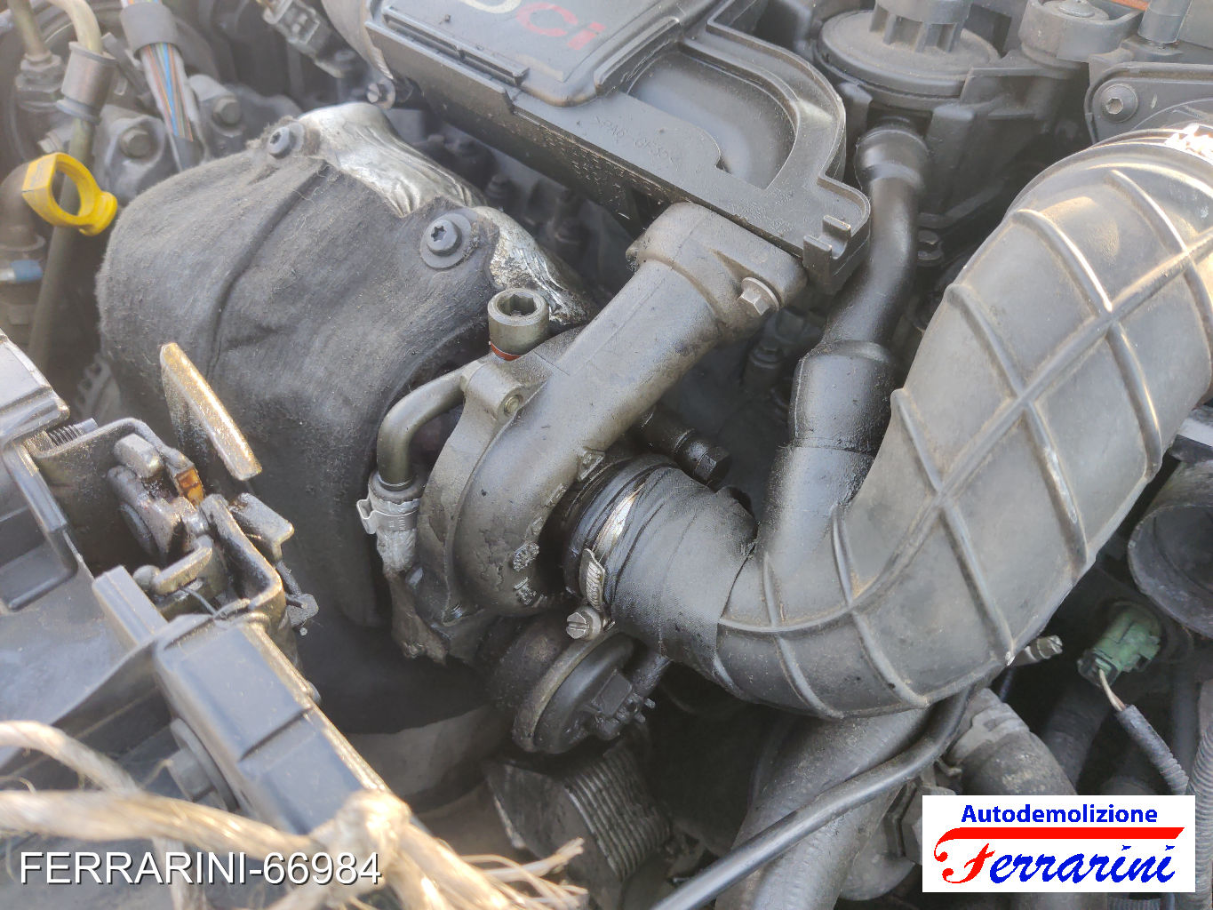 Turbina