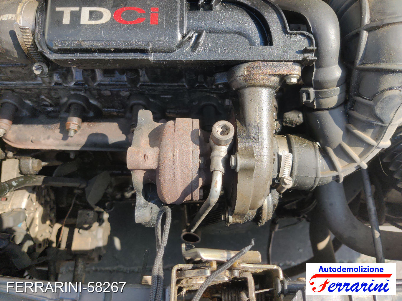 Turbina