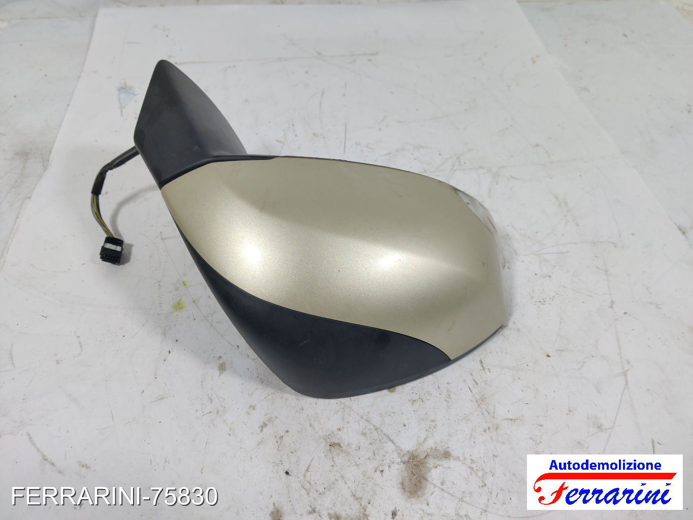 Specchietto Laterale RENAULT SCENIC 3 JZ0/1 2009-2023 destro, dx 10