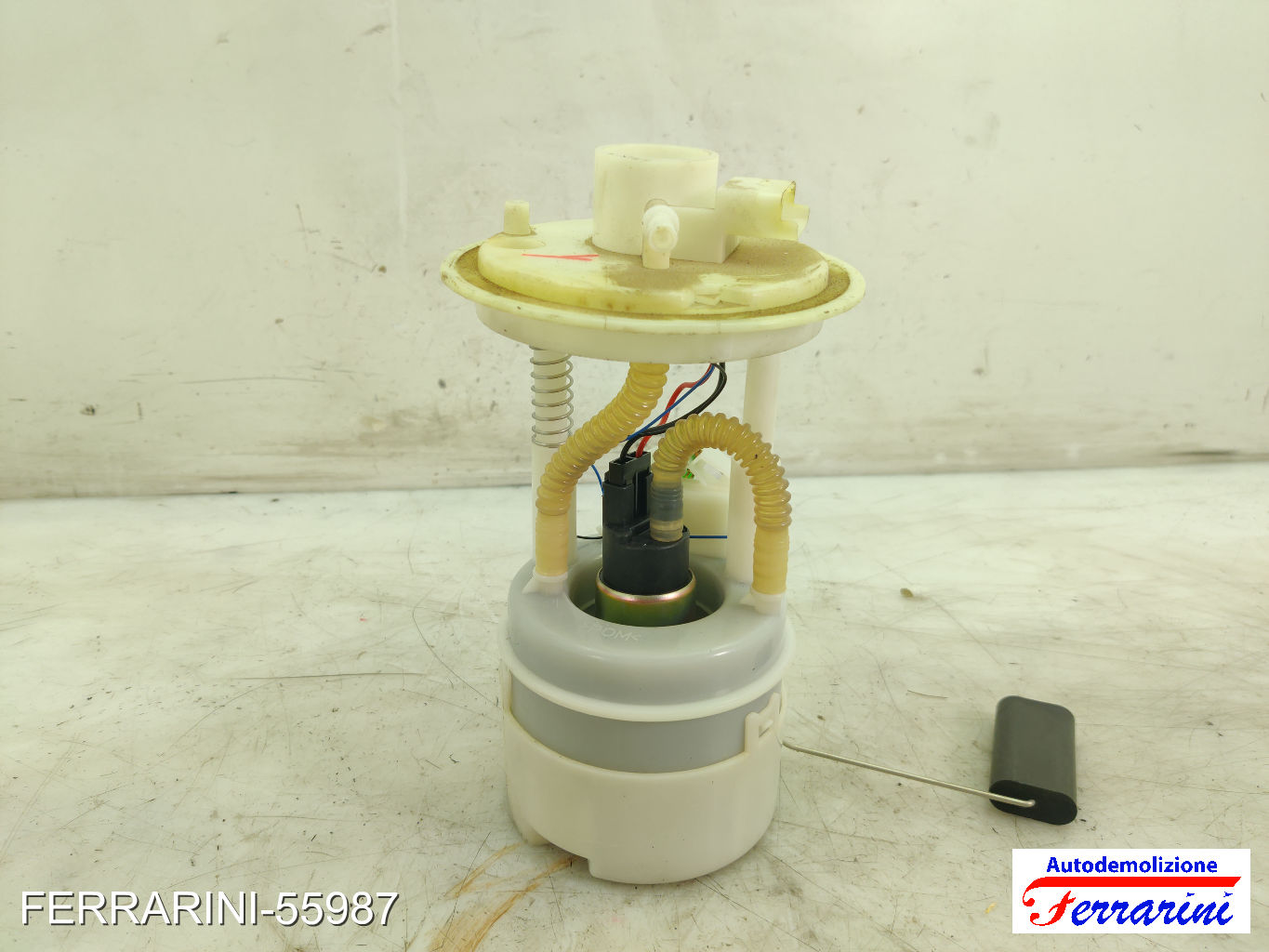 Cestello Pompa Galleggiante Serbatoio LANCIA YPSILON 843 1.2 2010-2011 51806828