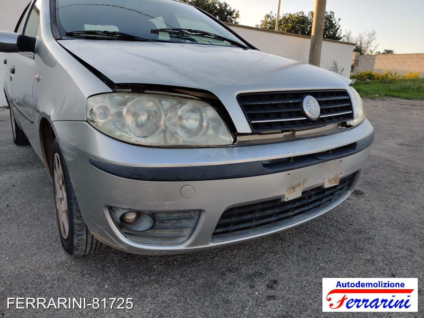 Paraurti Frontale
