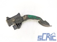 Pedale Acceleratore FIAT PUNTO EVO 199 1.4 LPG 2009-2012 55702020, 03207A