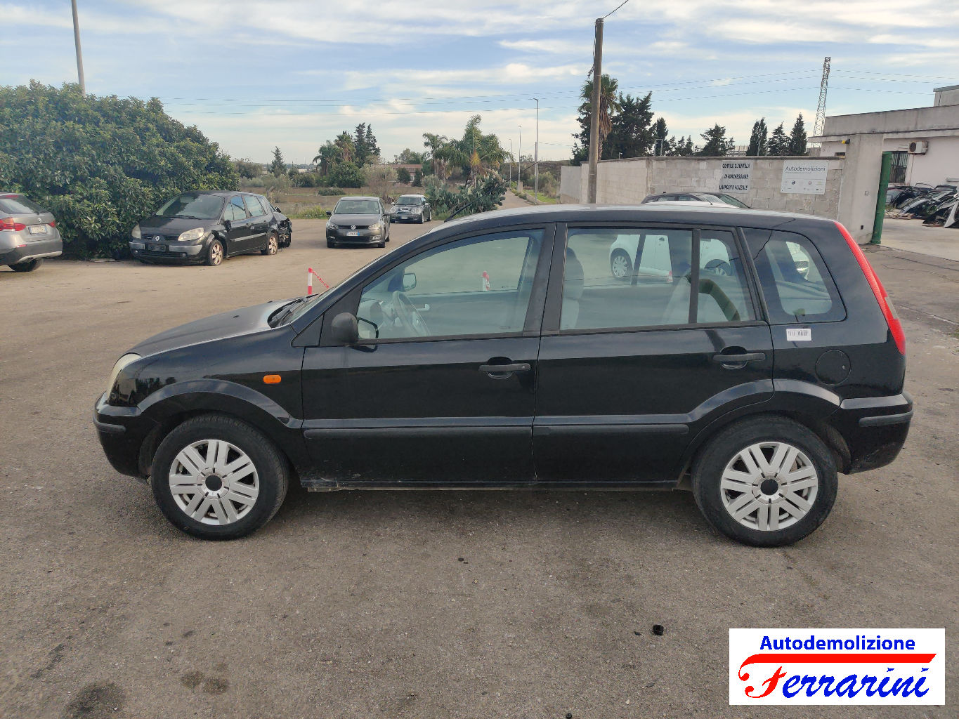 Ford Fusion 75