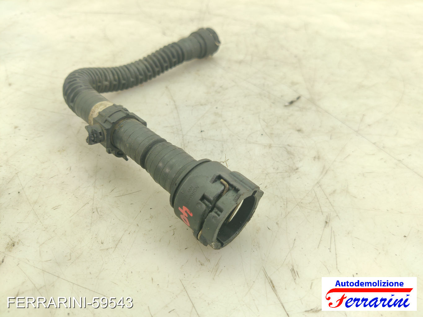 Altre Componenti Accessori Motore