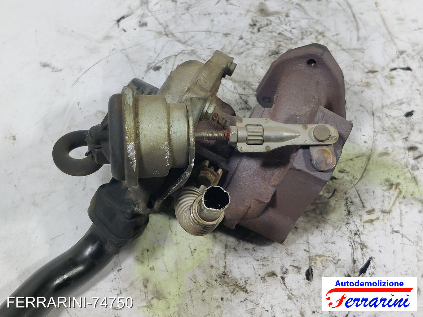Turbina