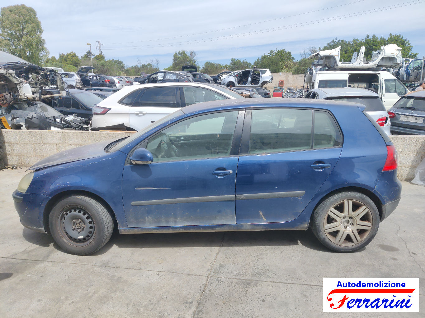 Vw Golf 5 1K1 1.9 TDI 105CV 2003-2008