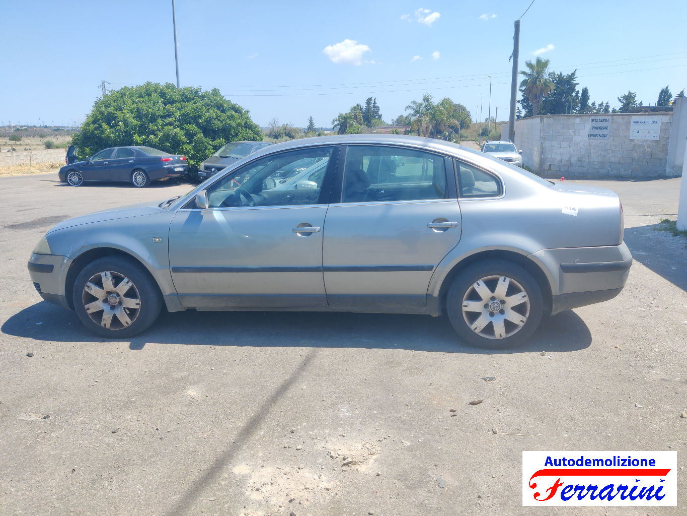 Vw Passat 3B3 1.9 TDI 130CV 2000-2005