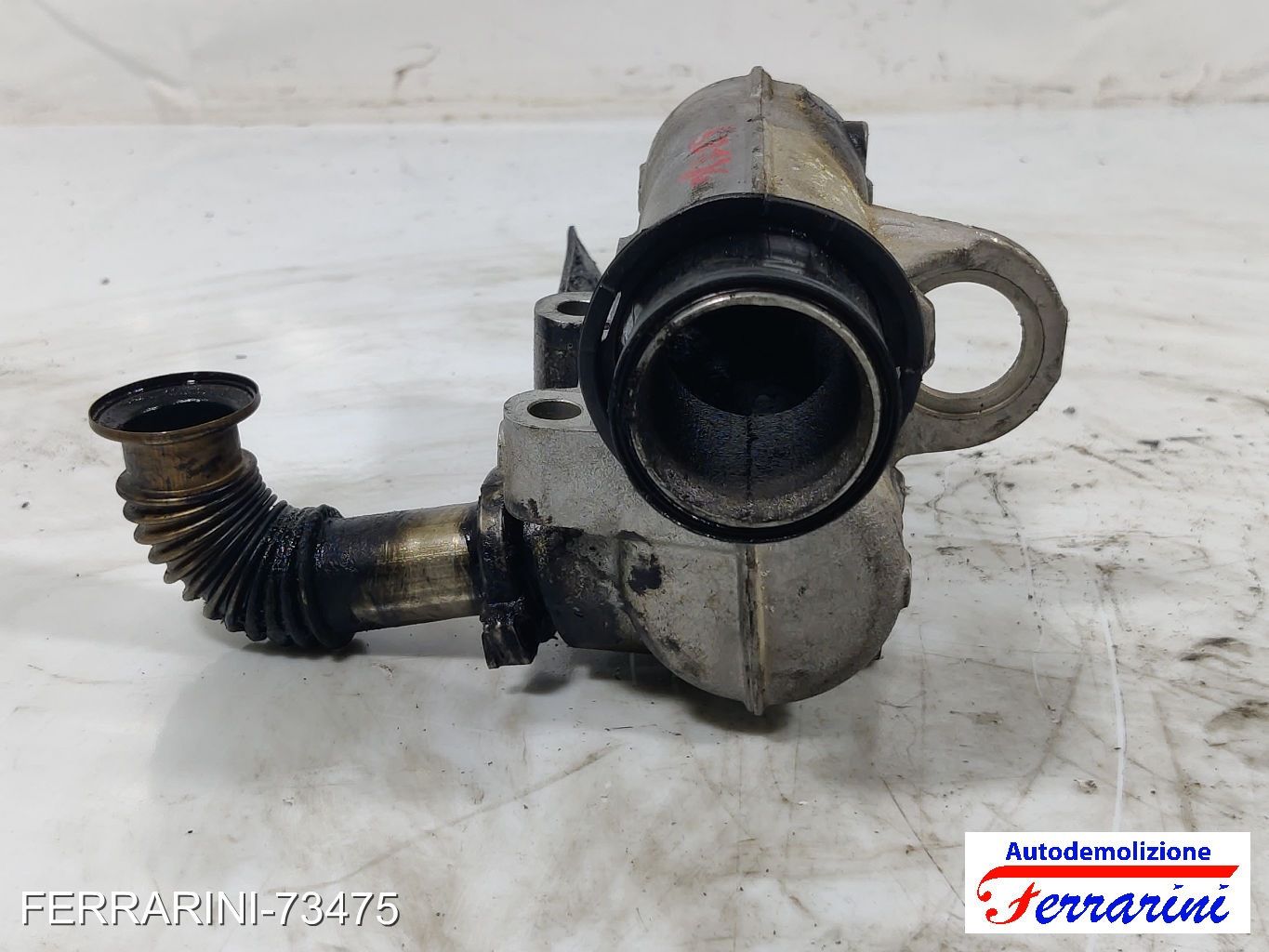 Valvola Egr RENAULT SCENIC 2 JM0/1 1.5 DCI 2003-2005 8200282949, 020655 7