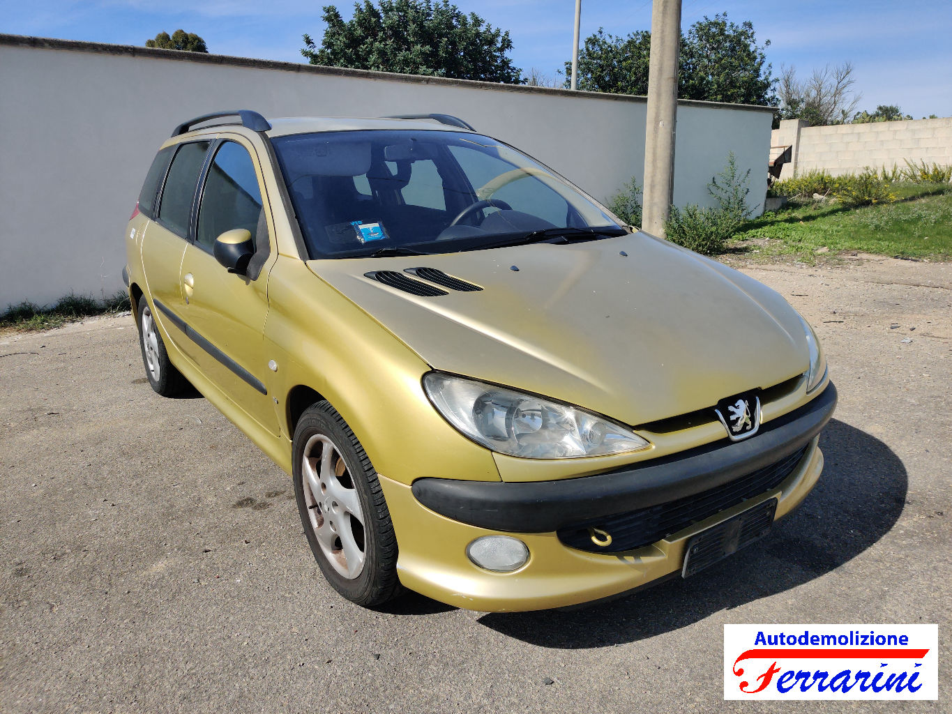 Peugeot 206 Sw 13