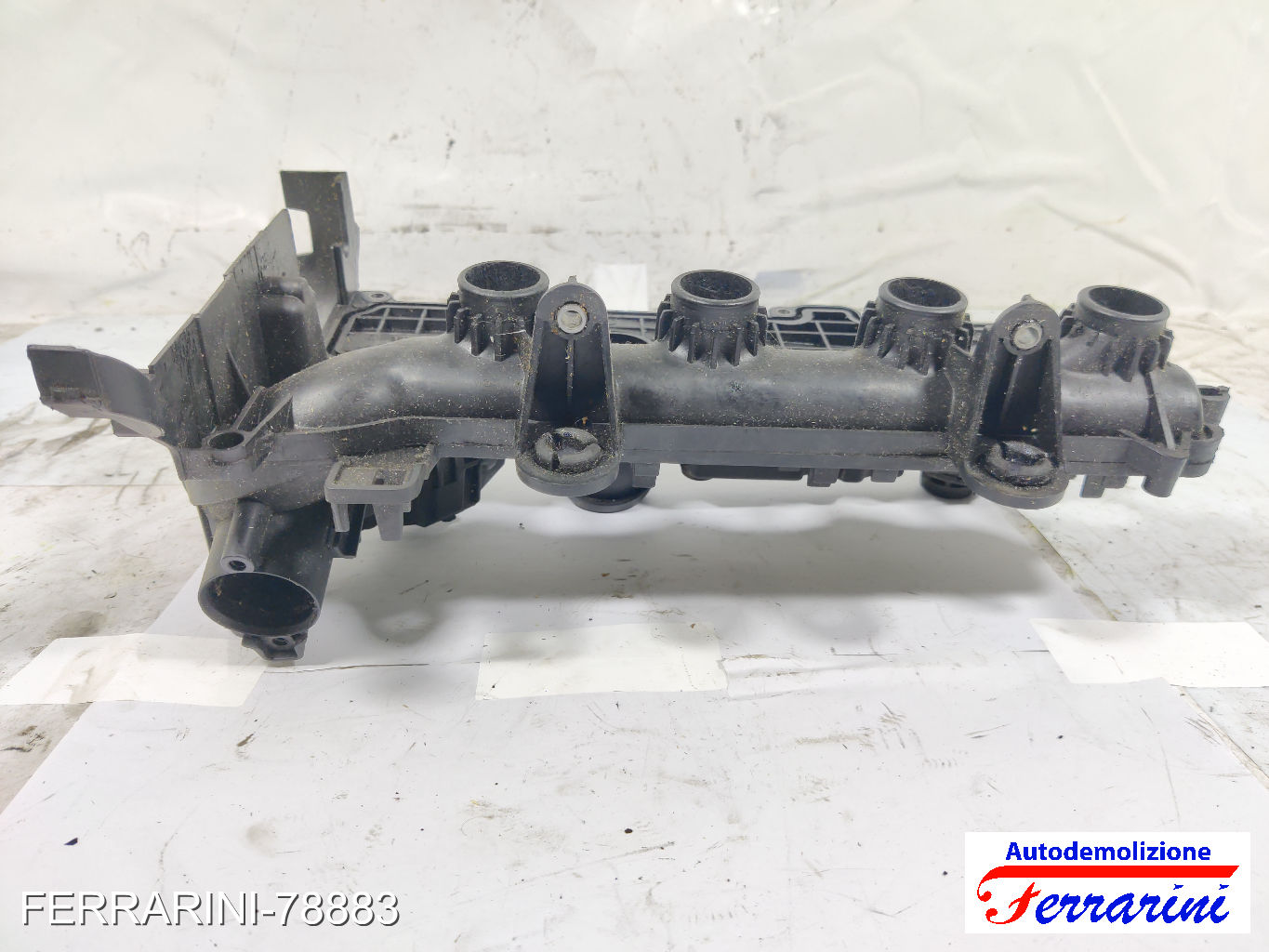 Coperchio Punterie Valvole FORD FIESTA 5 JD, JH 1.4 TDCI 2001-2008 0361N4 10