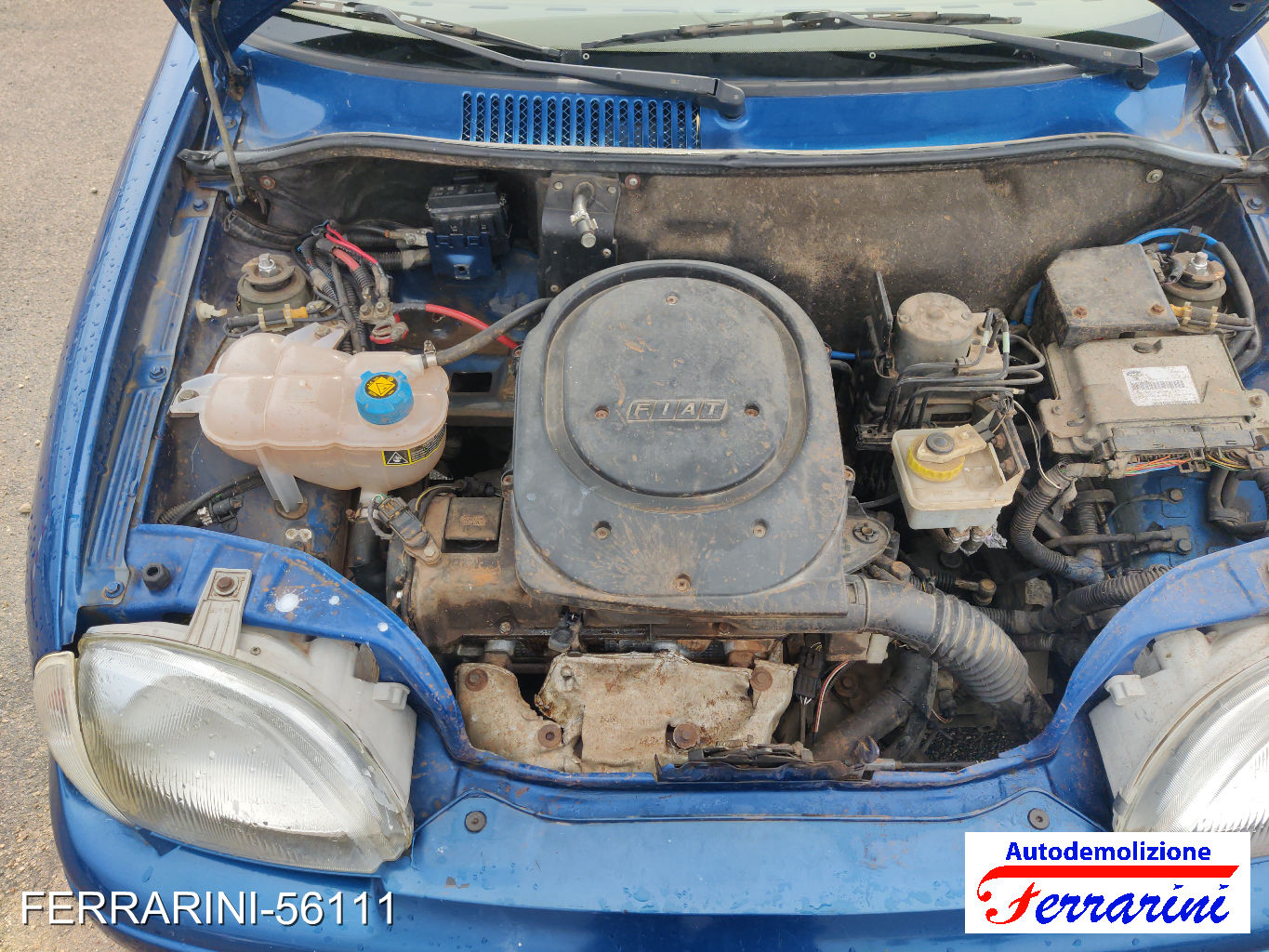 Fiat Seicento 600 187 1.1 54CV 1998-2010