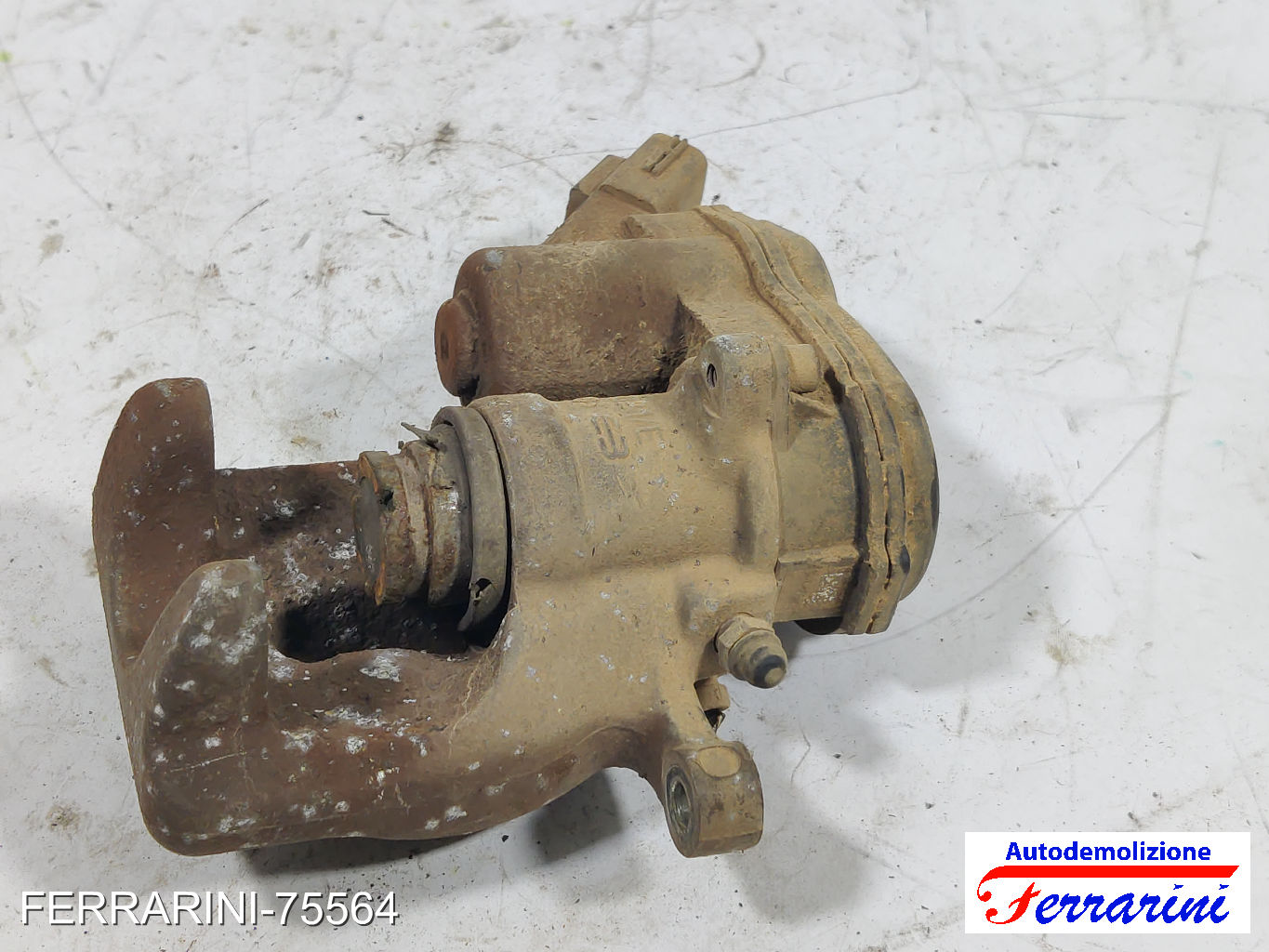 elettrica Pinza Freno RENAULT SCENIC 3 JZ0/1 1.5 DCI 2009-2023 440110675R