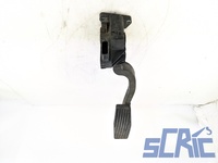 Pedale Acceleratore FIAT GRANDE PUNTO 199 1.3 D MULTIJET 2005-2013 55702020
