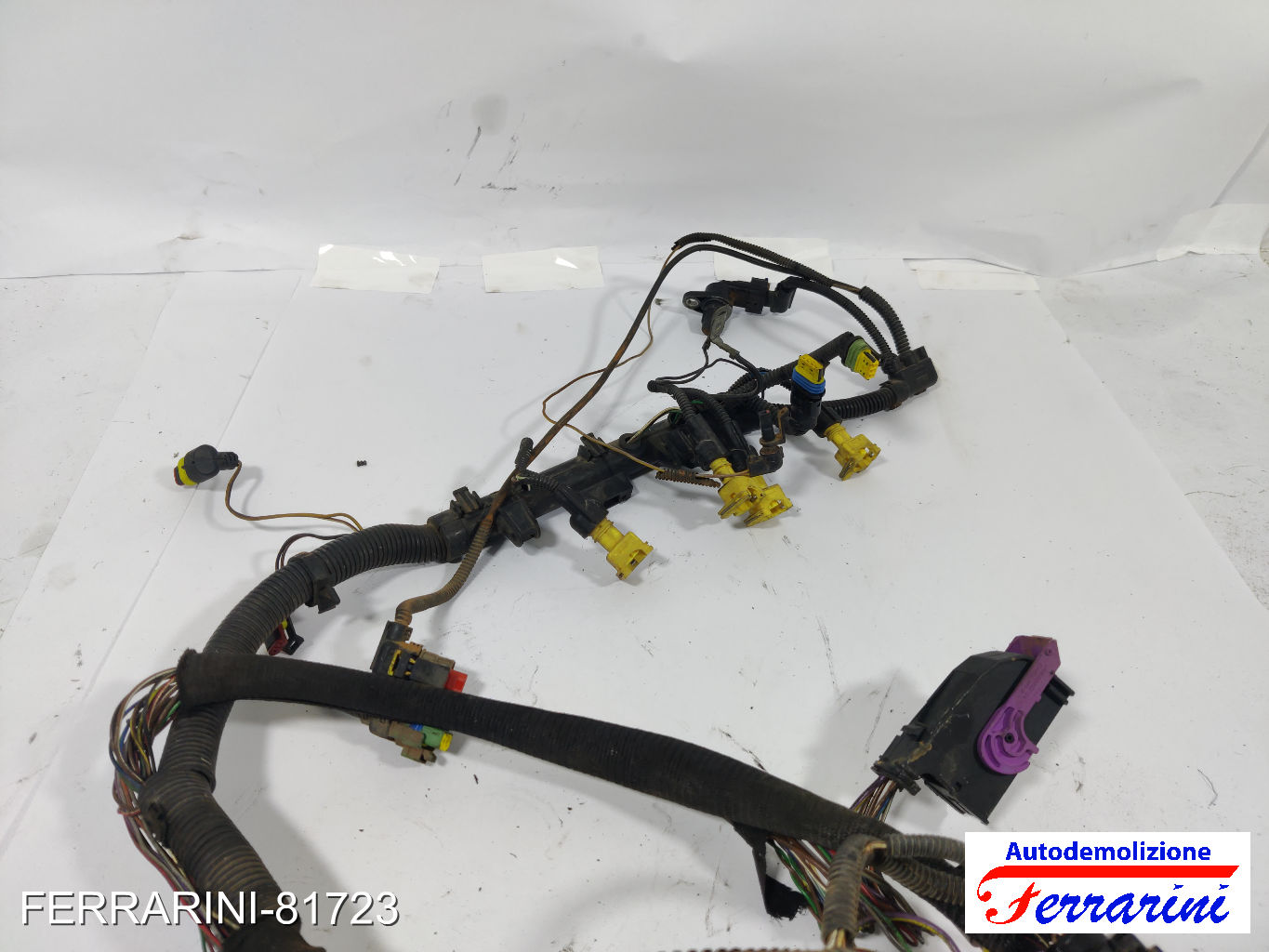 Cablaggio Motore LANCIA YPSILON 843 1.2 2003-2011 11