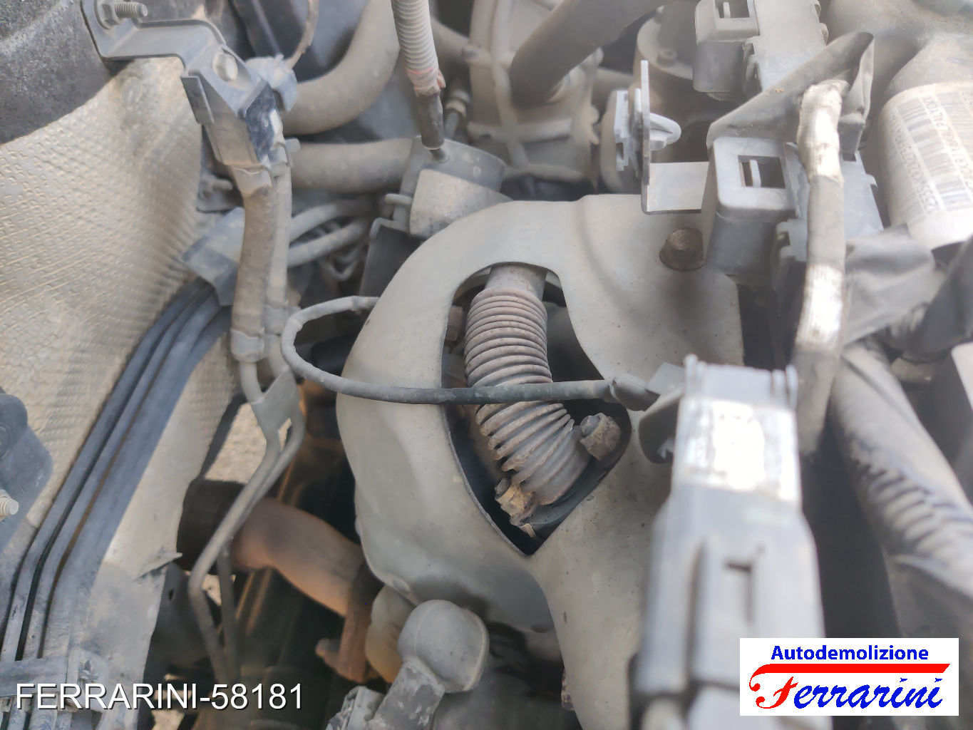 Turbina