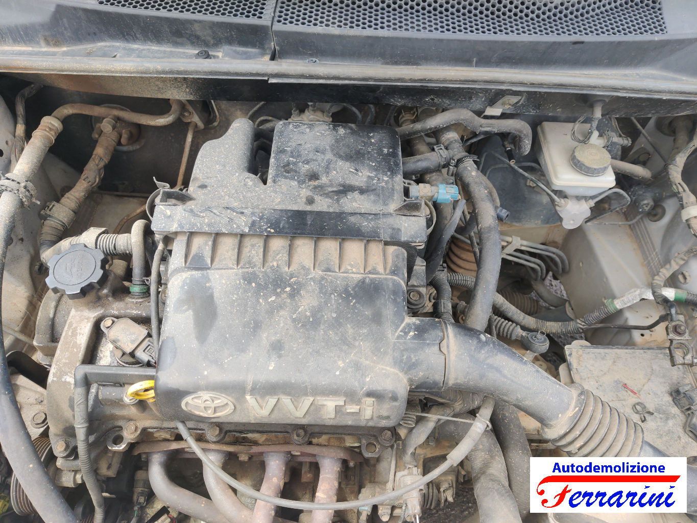 Toyota Yaris P1 1.0 68CV 1999-2005