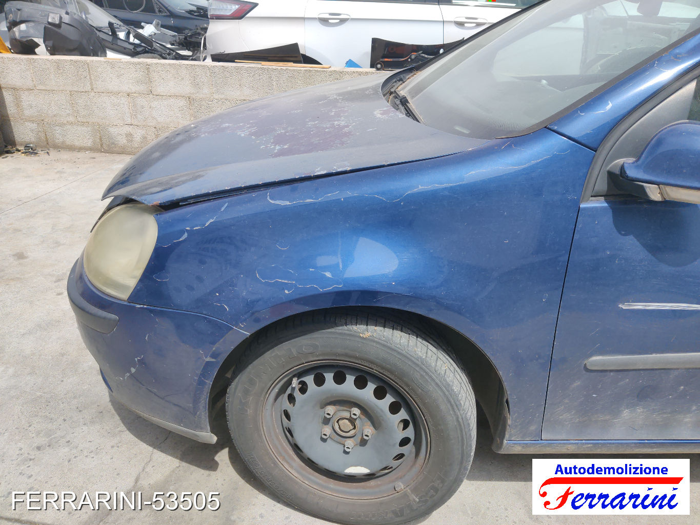 Vw Golf 5 1K1 1.9 TDI 105CV 2003-2008